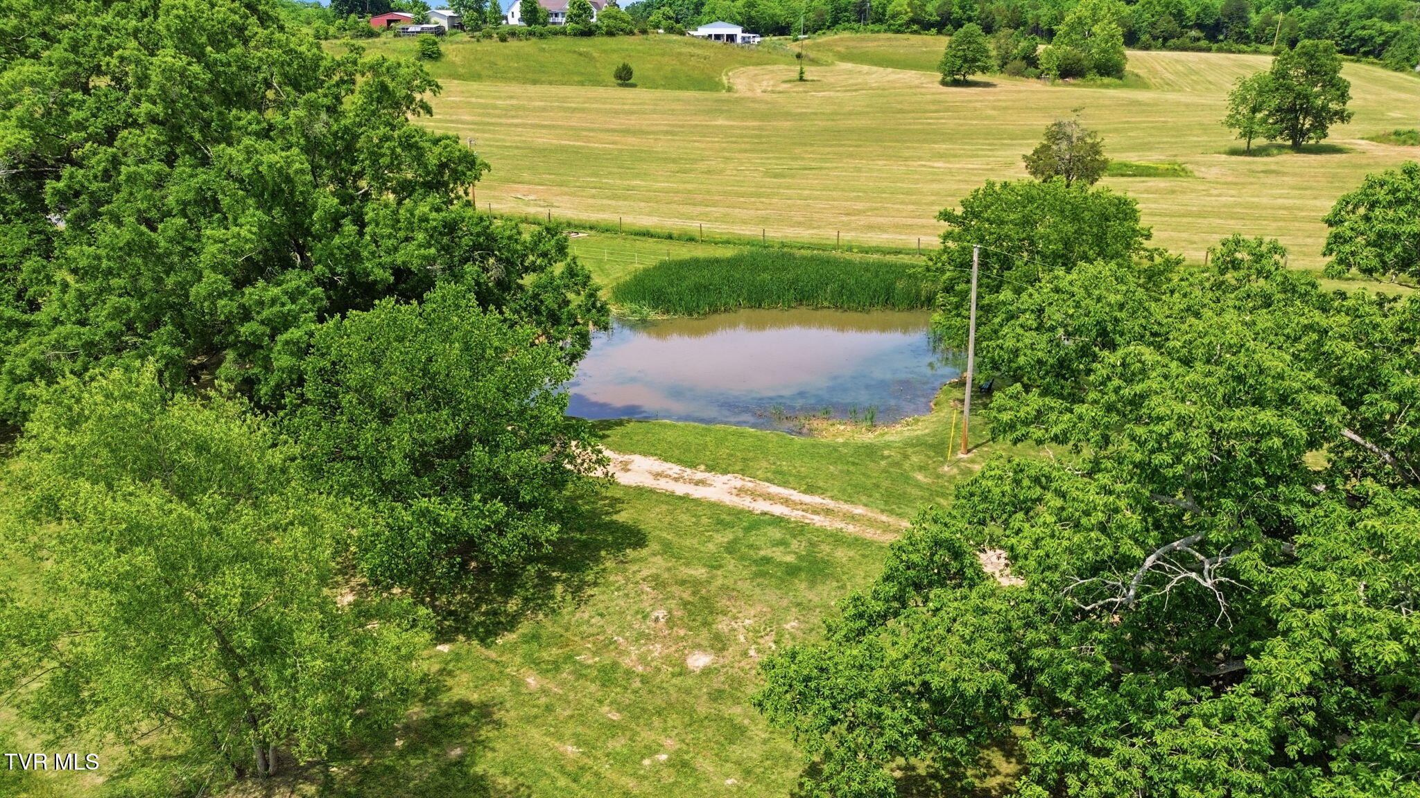 830 Toby Road Mohawk, TN 37810 - Photo 5 of 67 4-web-or-mls-DJI_0110