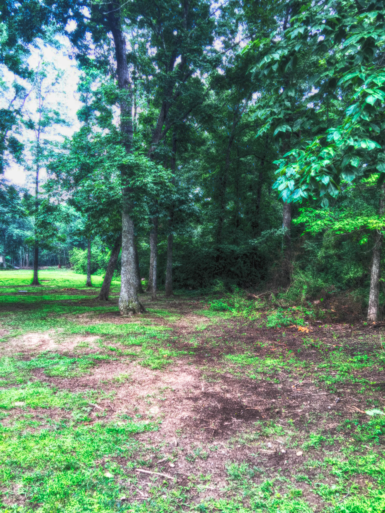 2700 Kell Road Signal Mountain, TN 37377 - Photo 2 of 7 Over 3 to 5 acres of level land