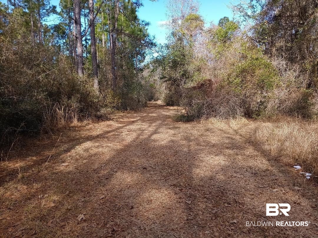 32799 Rustic Bend Robertsdale, AL 36567 - Photo 18 of 27 Gallery Image 18