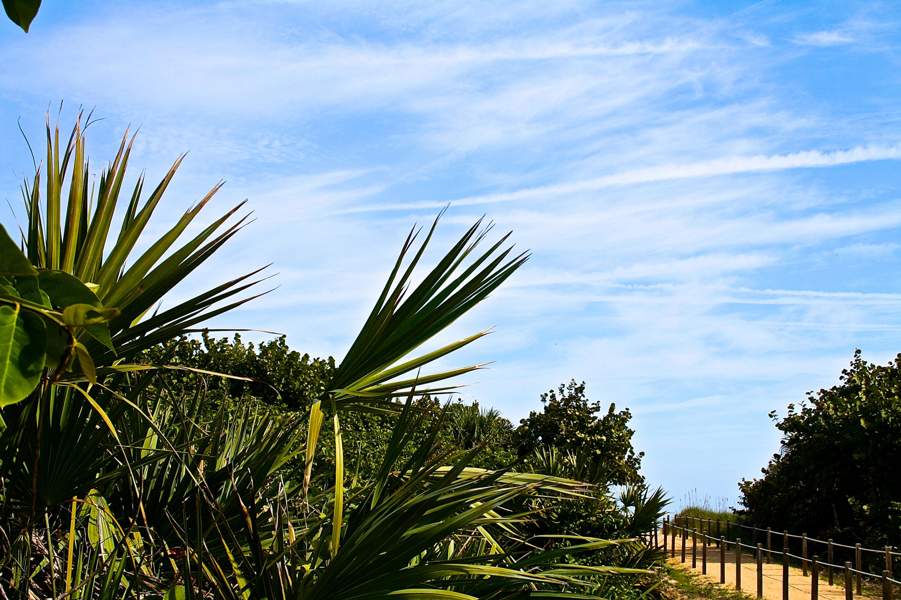 8841 First Tee Road Port St. Lucie, FL 34986 - Photo 163 of 228 139 Ft. Pierce Inlet park Boardwalk