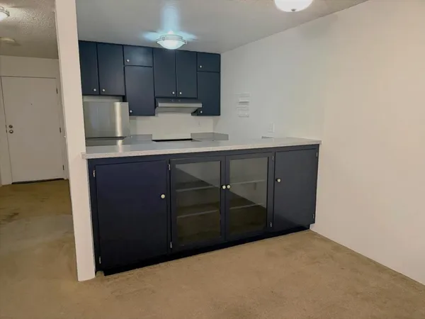a view of a open shower and a sink