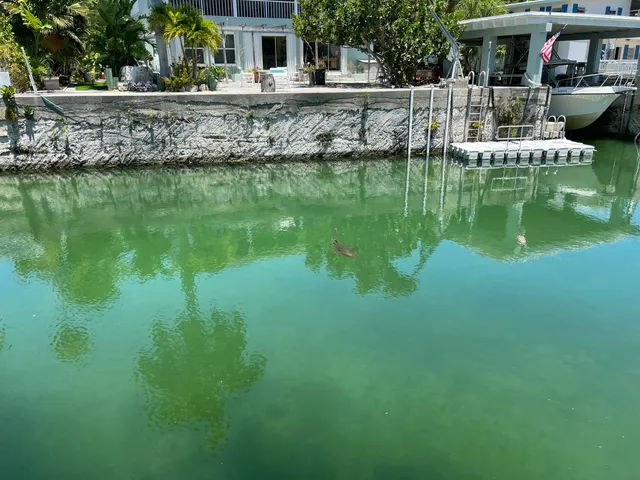 a view of house with swimming pool and outdoor seating