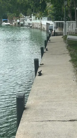 $6,000 | 134 Rushton Lane, Tavernier, FL 33070