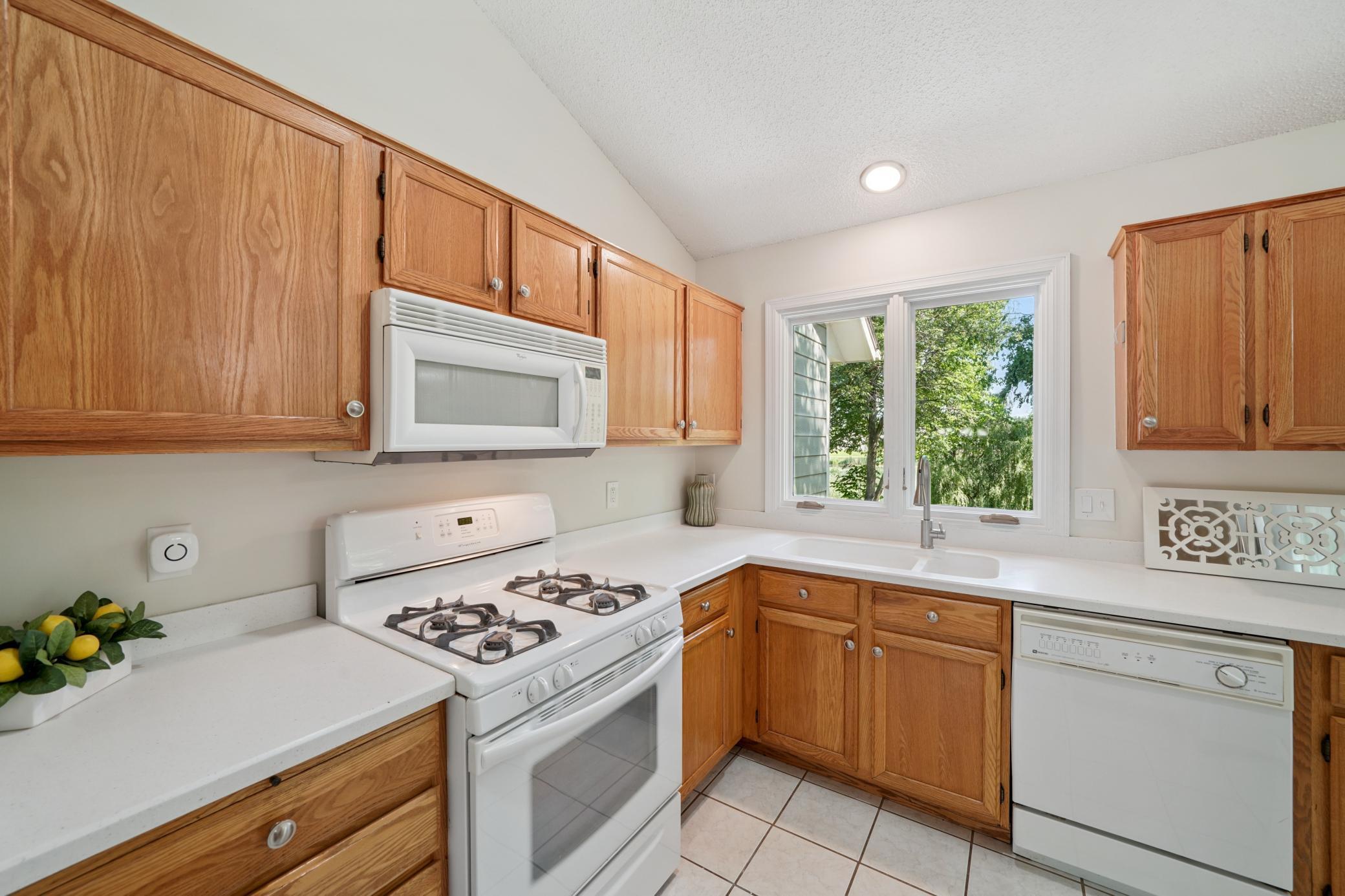 216 Wildhurst Road Waconia, MN 55387 - Photo 2 of 23 Gallery Image 2