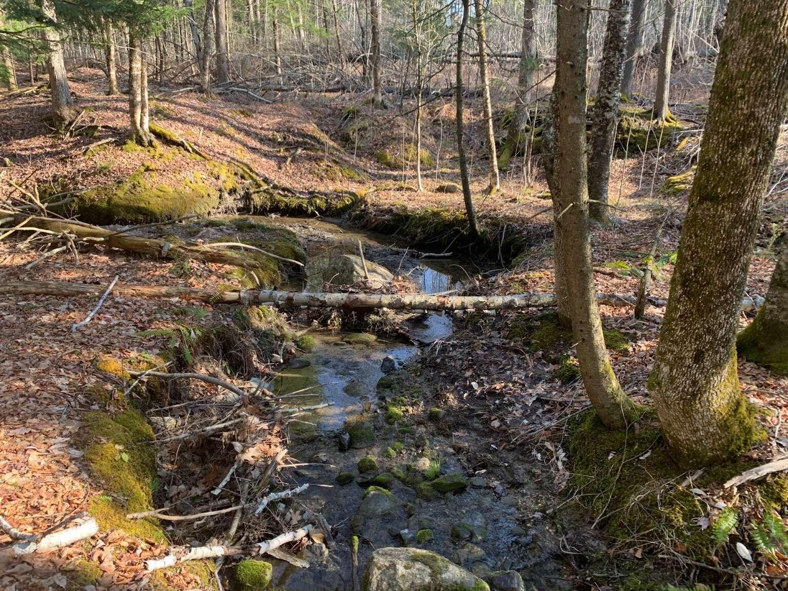 0 Poland Road Freeport, ME 04032 - Photo 3 of 7 Gerow.3