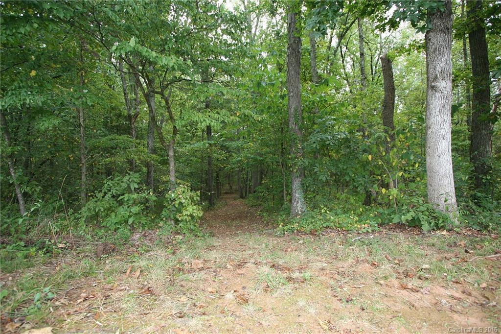 9505 Mini Ranch Road Waxhaw, NC 28173 - Photo 24 of 24 a view of a forest filled with trees