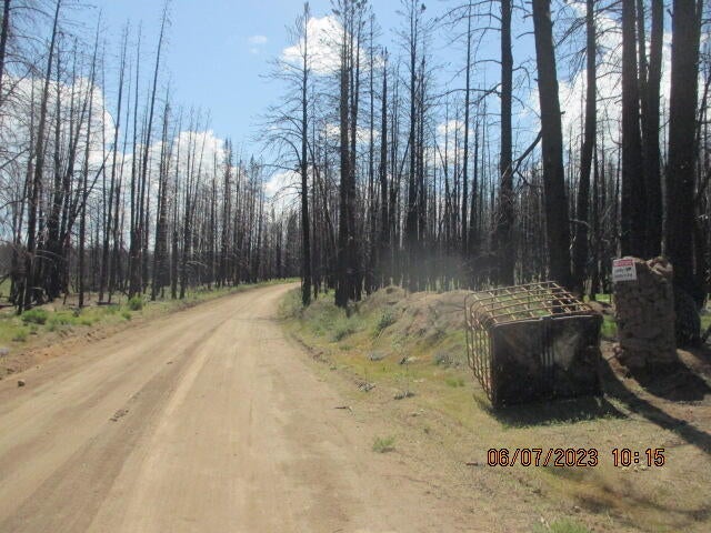 Lot - Black Pine Road Bly, OR 97622 - Photo 6 of 12 IMG_1674