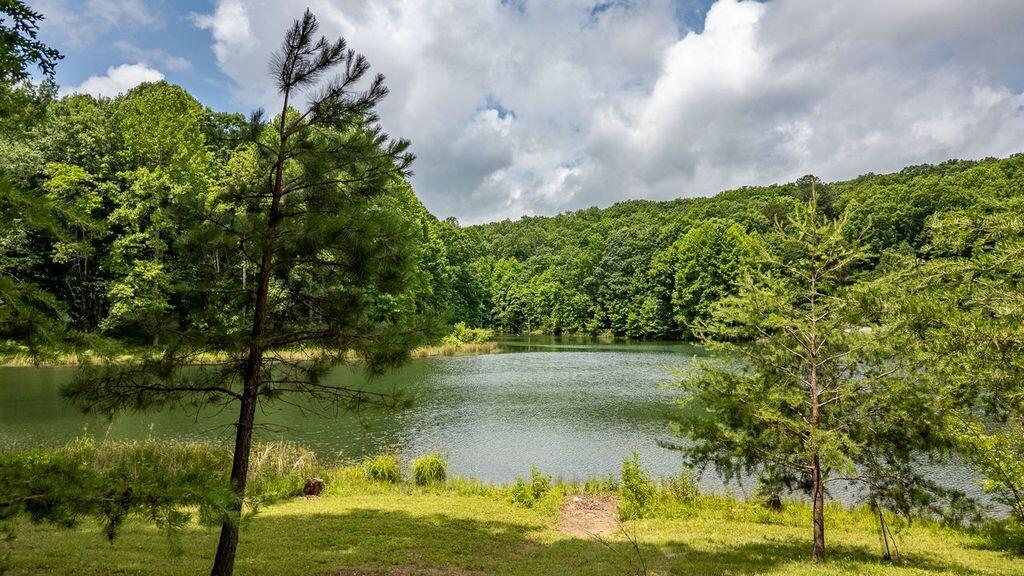 80 Tanya Lane Dunlap, TN 37327 - Photo 2 of 69 IMG_2890