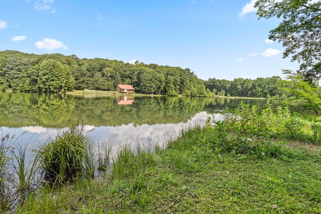 80 Tanya Lane Dunlap, TN 37327 - Photo 64 of 69 IMG_2929