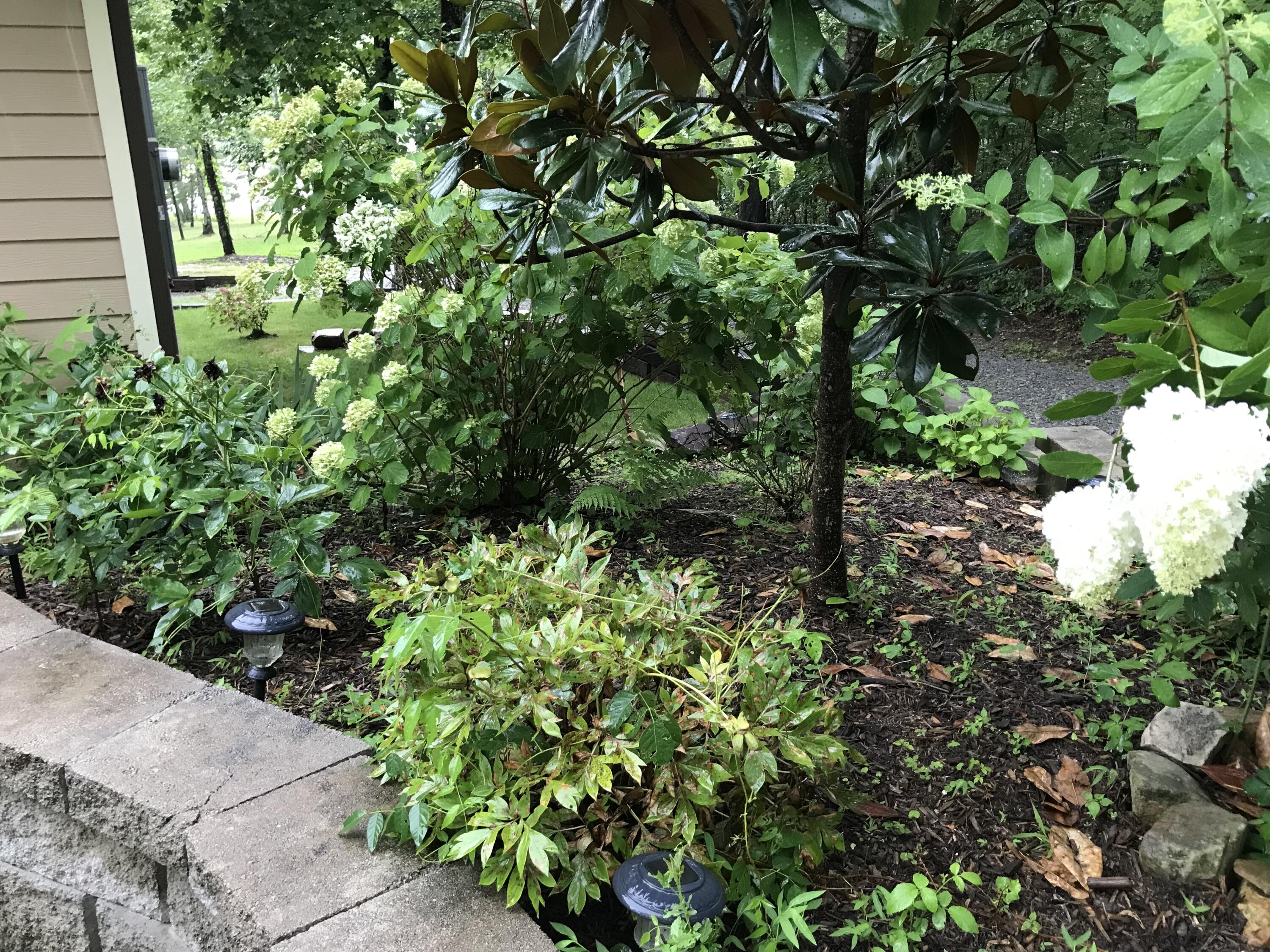 80 Tanya Lane Dunlap, TN 37327 - Photo 66 of 69 IMG_9368