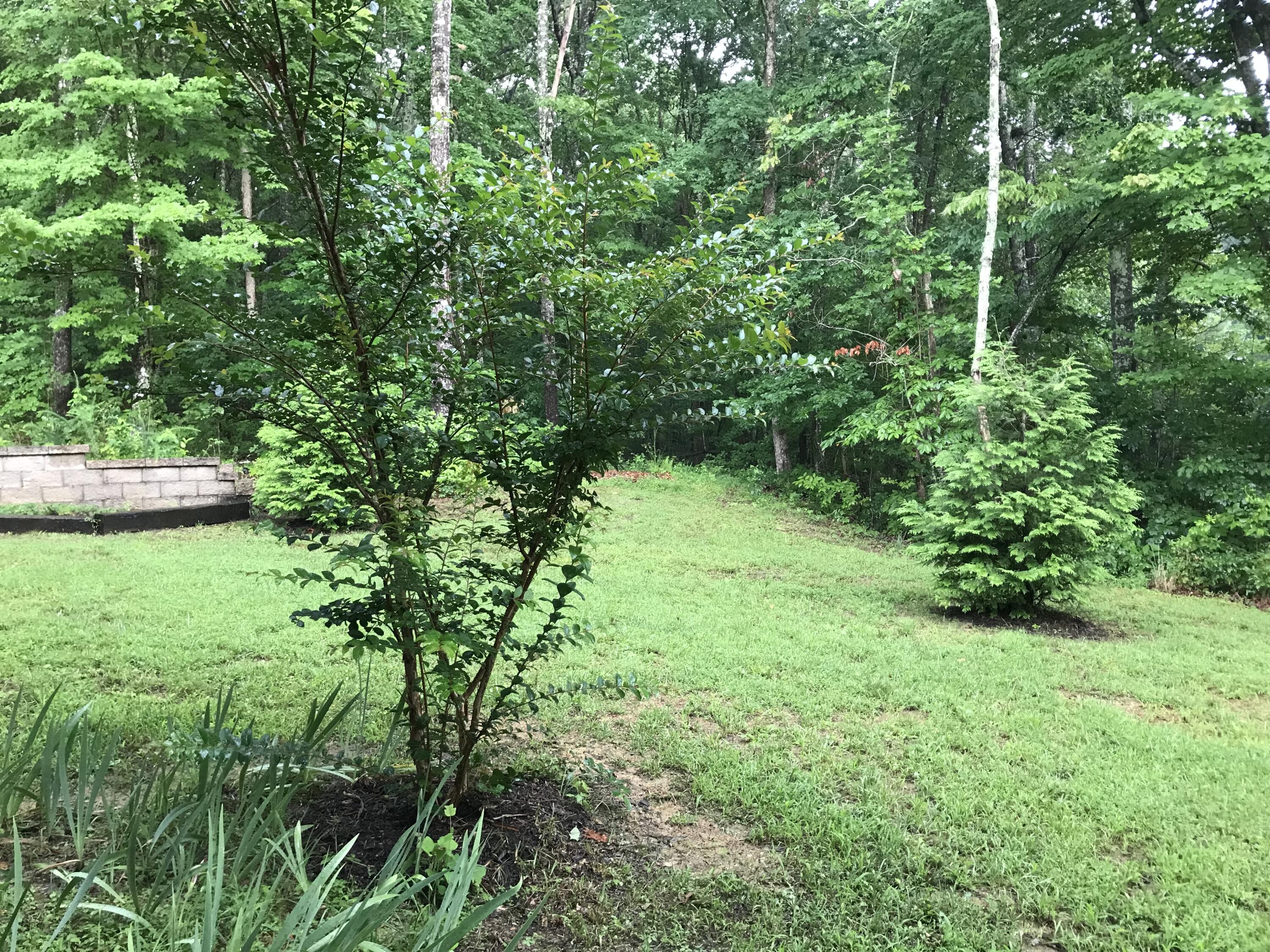 80 Tanya Lane Dunlap, TN 37327 - Photo 68 of 69 IMG_9366