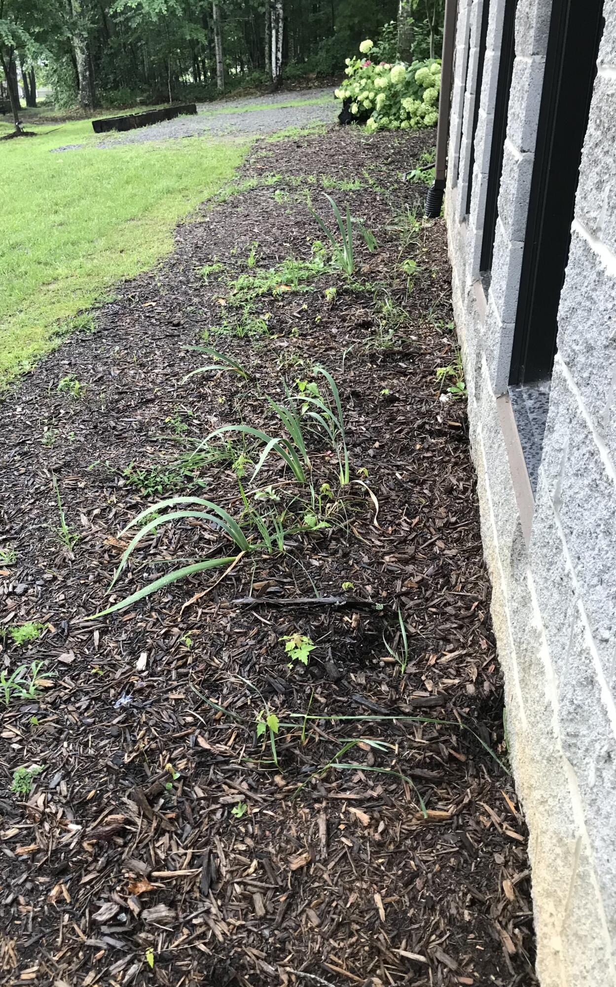 80 Tanya Lane Dunlap, TN 37327 - Photo 69 of 69 IMG_9365