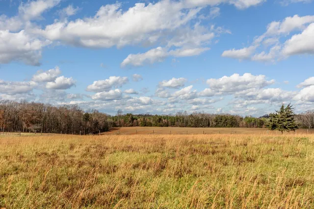 a view of yard and ocean