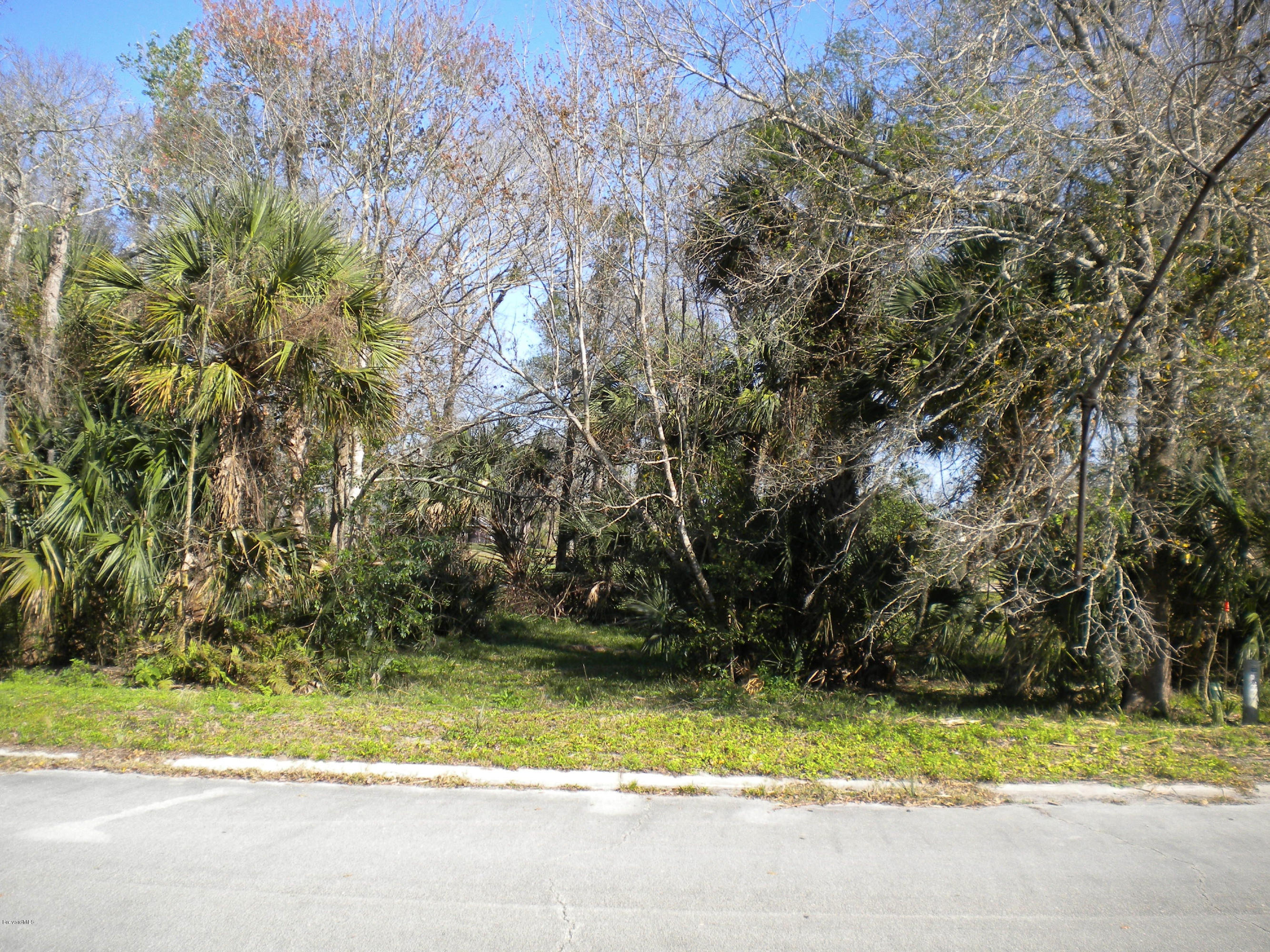 3900 Parrish Road Cocoa, FL 32926 - Photo 1 of 1 DSCN3756