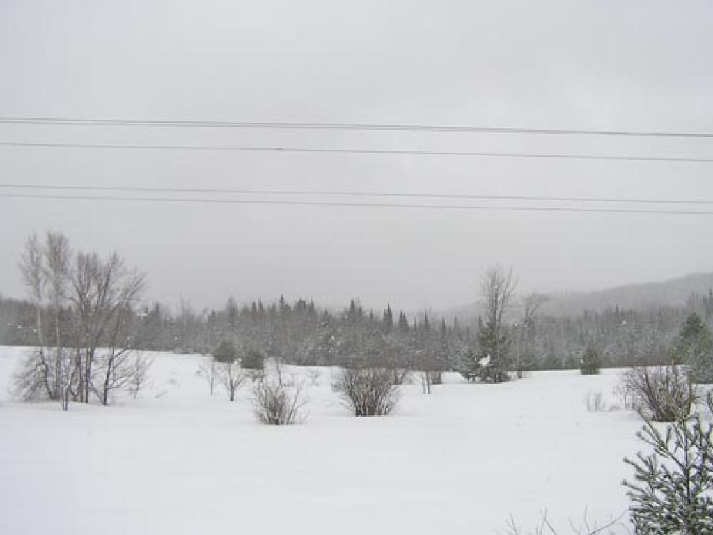 0 Route 118/belvidere Road Eden, VT 05652 - Photo 4 of 5