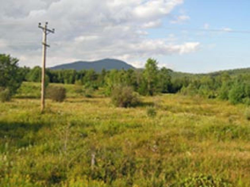 0 Route 118/belvidere Road Eden, VT 05652 - Photo 5 of 5