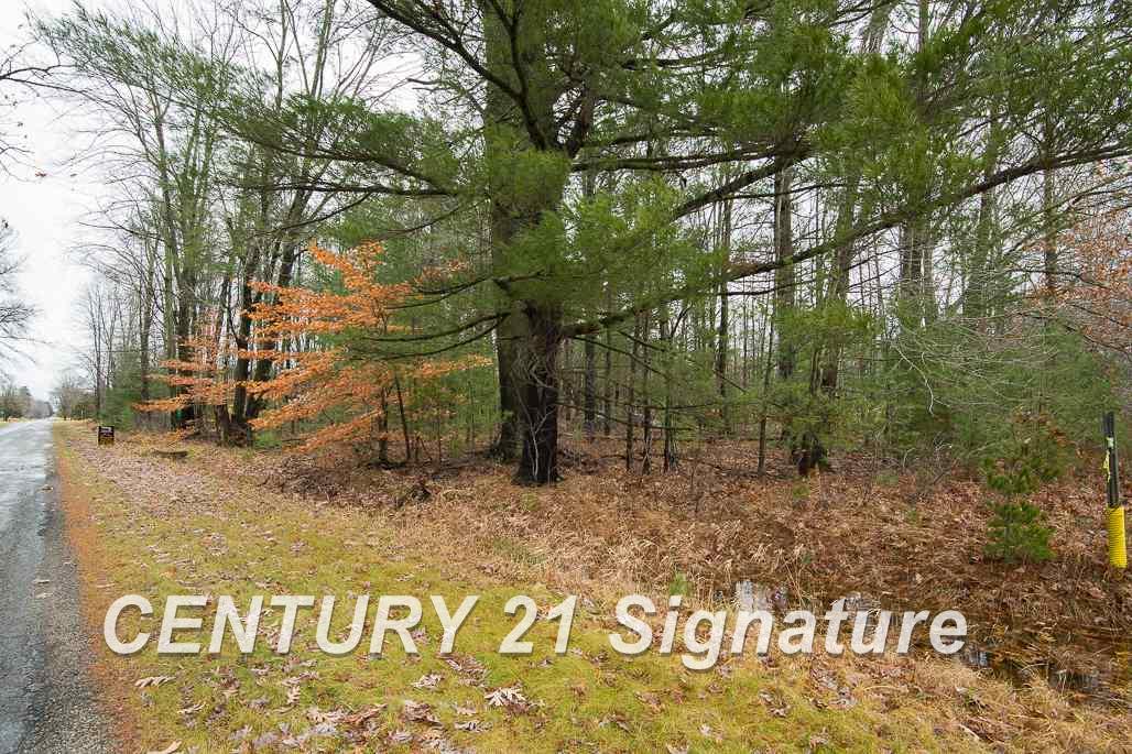 20091 West Burt Road Brant, MI 48614 - Photo 5 of 13
