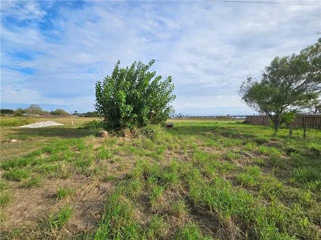 a view of an outdoor space and a yard