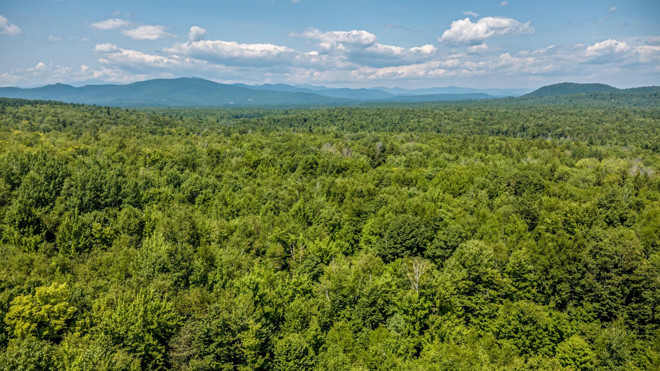 0 Brownfield Road, Unit 28411 Center Conway, NH 03813 - Photo 11 of 13