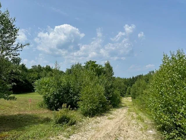 $175,000 | 0 Brownfield Road, Unit 28411, Center Conway, NH 03813