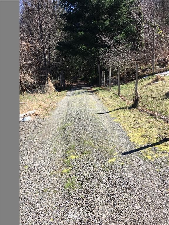 854 A Cline Road Randle, WA 98377 - Photo 21 of 25 Gallery Image 21