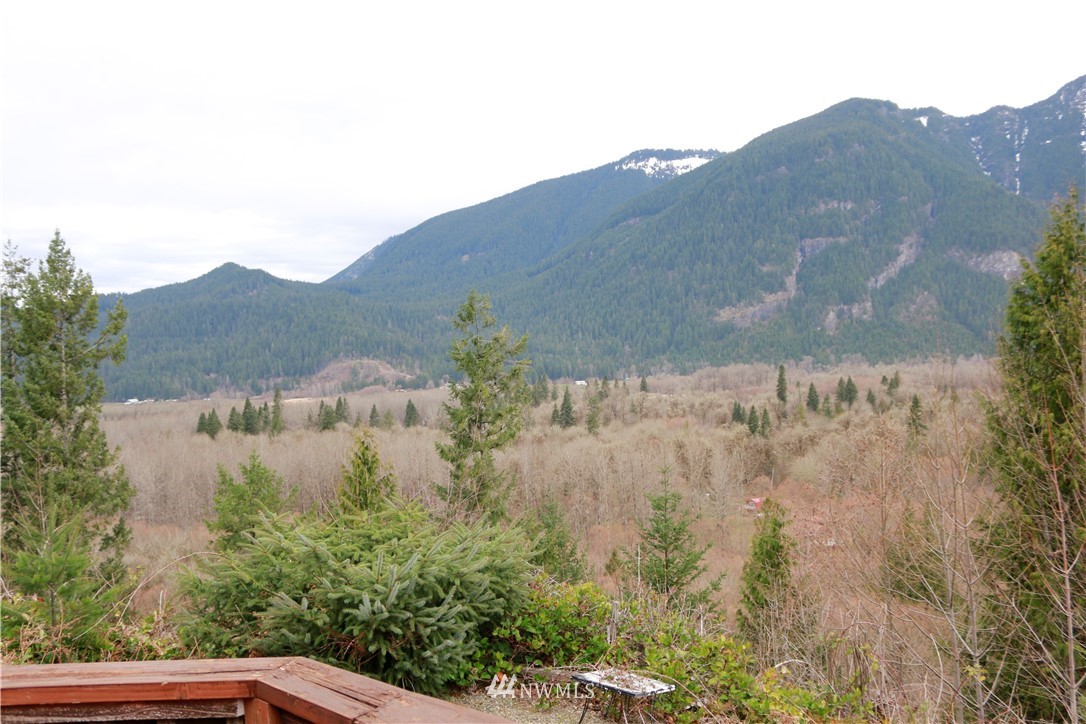 854 A Cline Road Randle, WA 98377 - Photo 6 of 25 Gallery Image 6