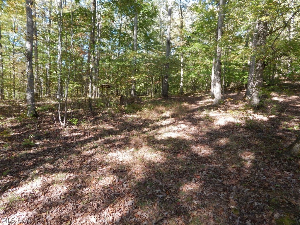 1110 Gate Road Cairo, WV 26337 - Photo 31 of 35