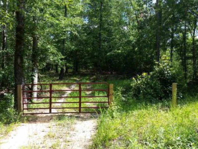 0 Stuart Tarter Road Ozark, AL 36360 - Photo 1 of 1