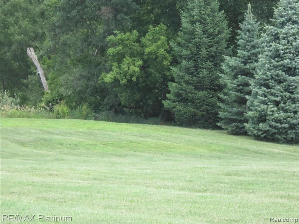 0 Buno Road Milford, MI 48380 - Photo 3 of 12 IMG_1163.JPG