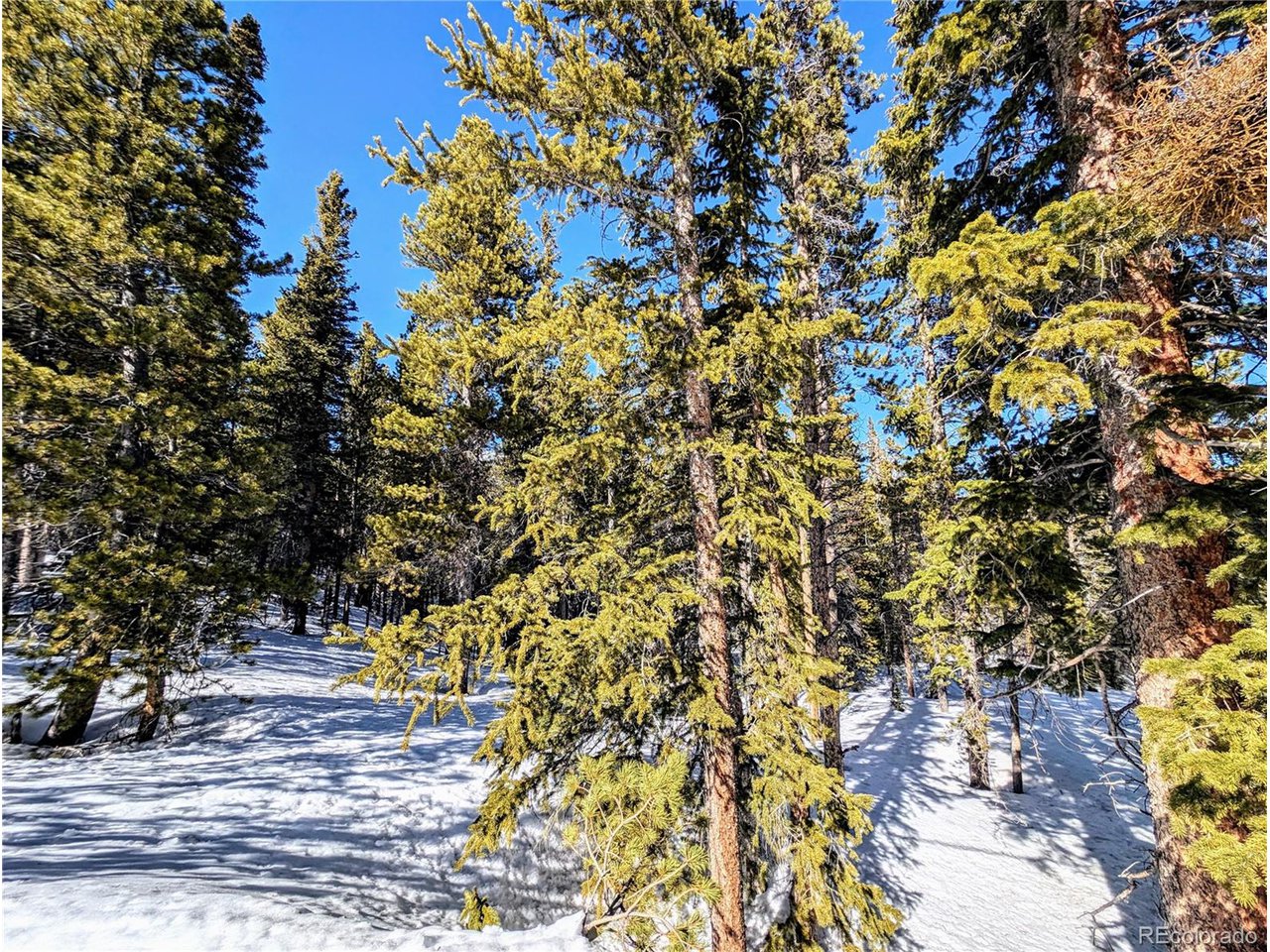 234 Alice Road Idaho Springs, CO 80452 - Photo 12 of 20