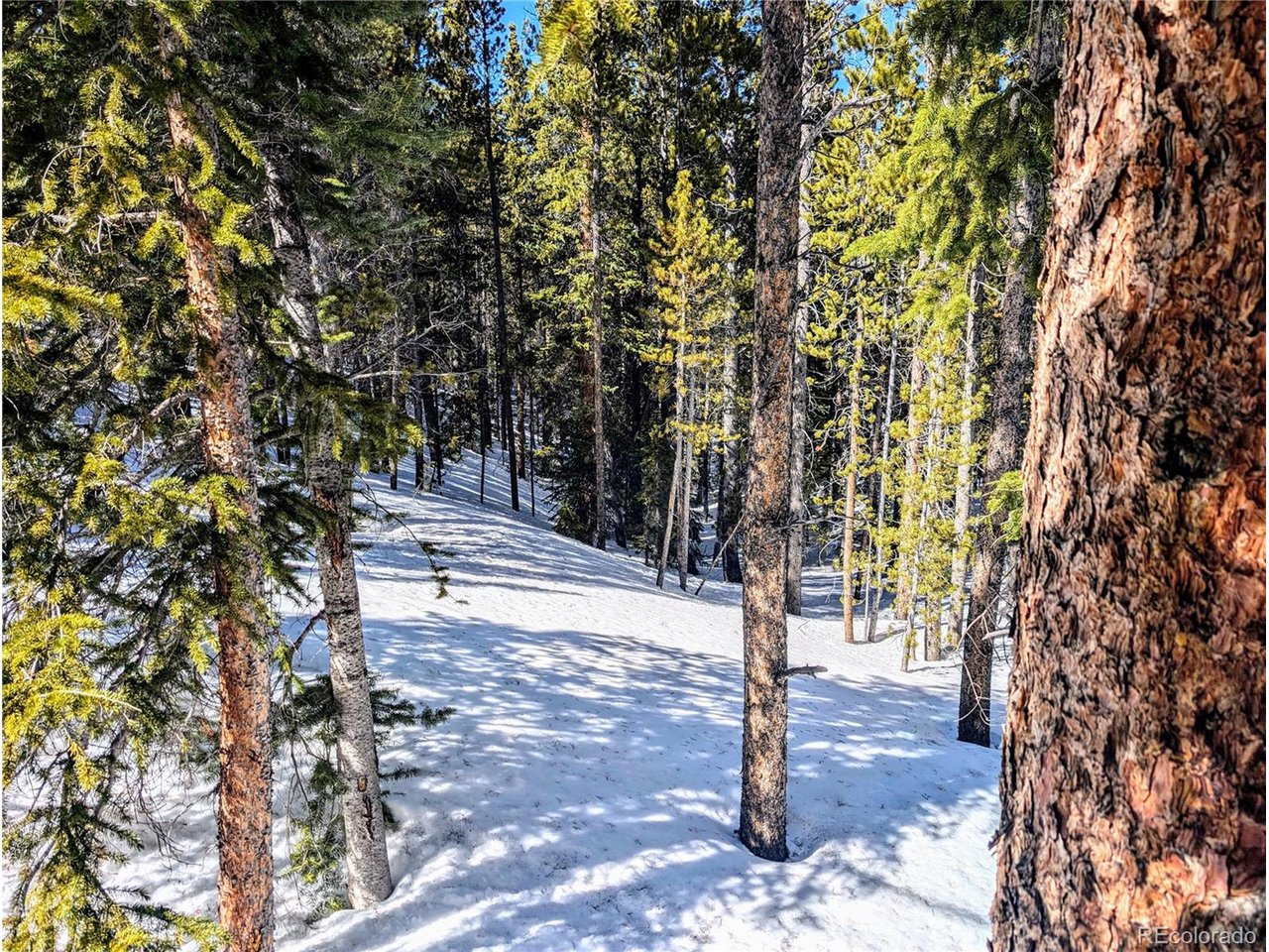 234 Alice Road Idaho Springs, CO 80452 - Photo 7 of 20