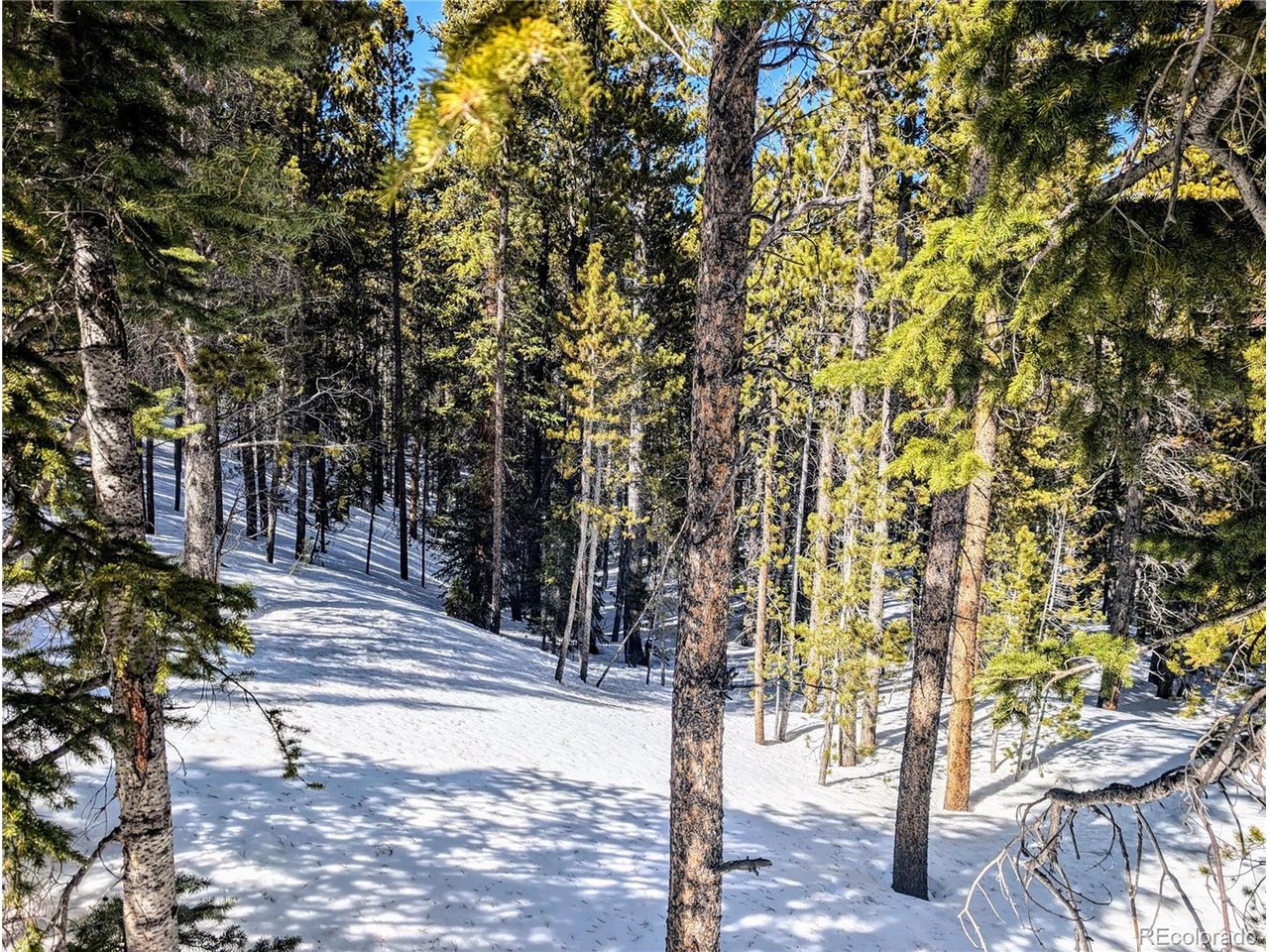 234 Alice Road Idaho Springs, CO 80452 - Photo 10 of 20