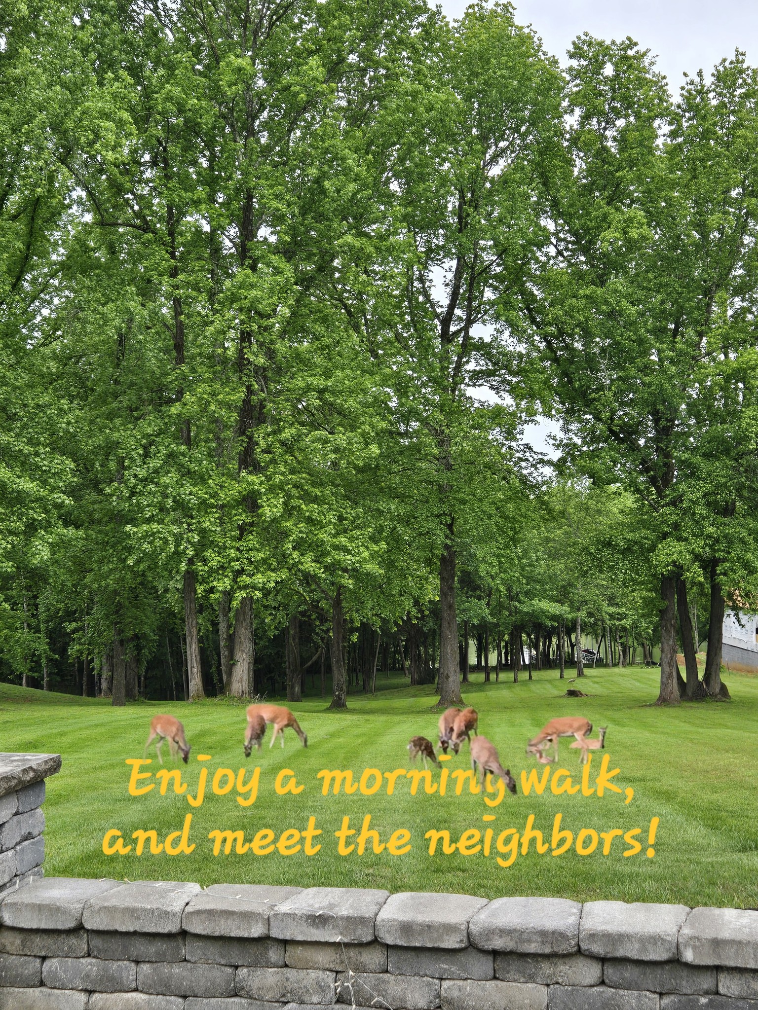 653 Flippen Road Lebanon, TN 37087 - Photo 42 of 71