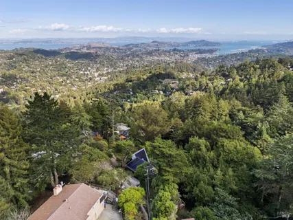 view of a city with lush green forest