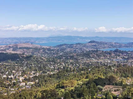 an aerial view of residential house and green space