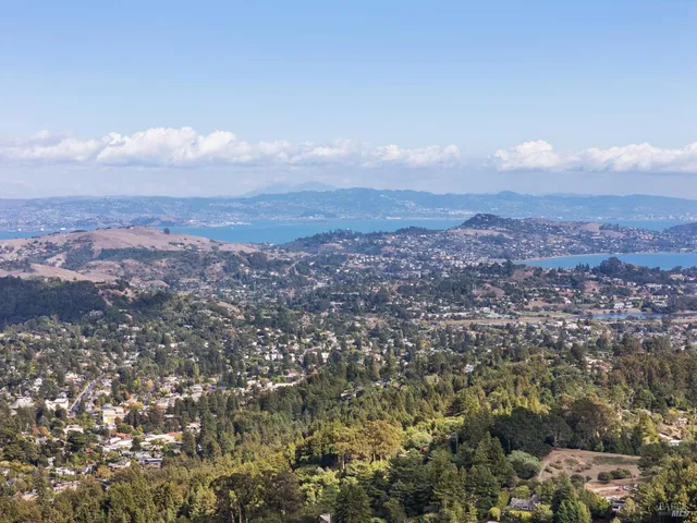 an aerial view of residential house and green space