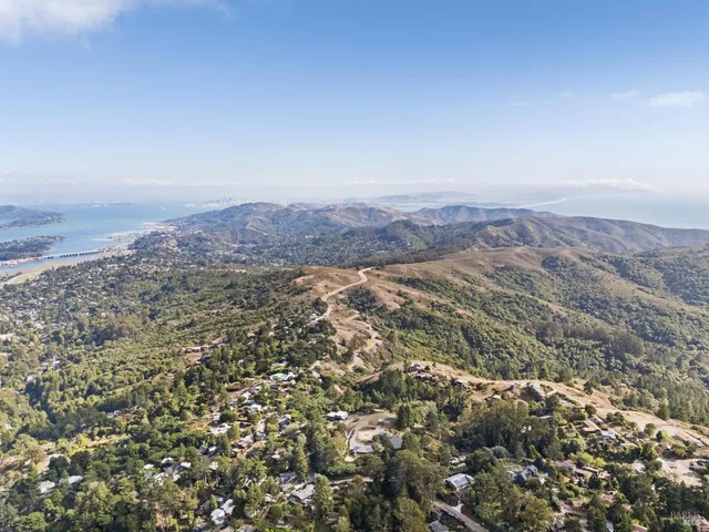 an aerial view of mountain and tree