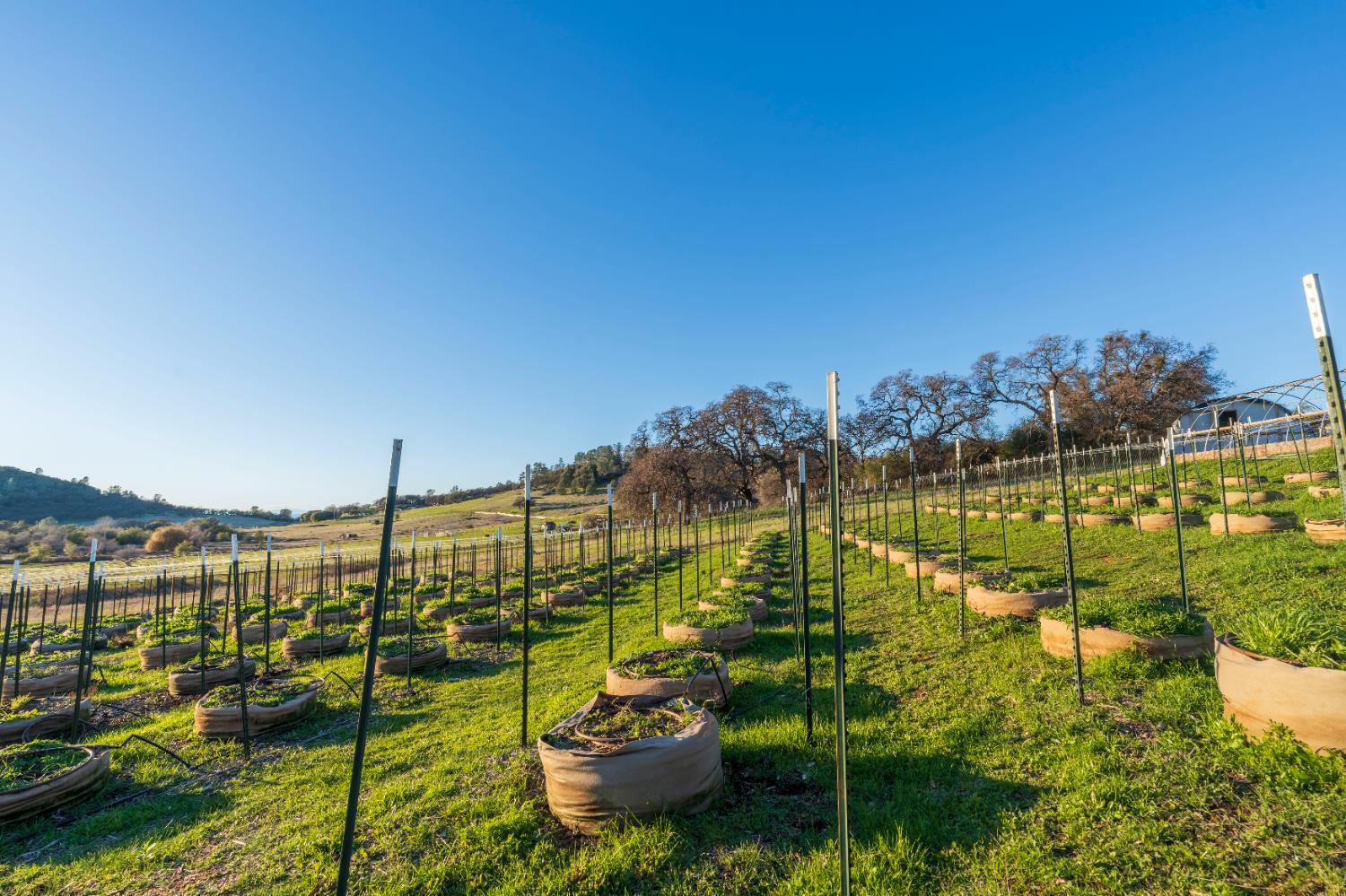 19728 Perimeter Road Grass Valley, CA 95949 - Photo 35 of 51