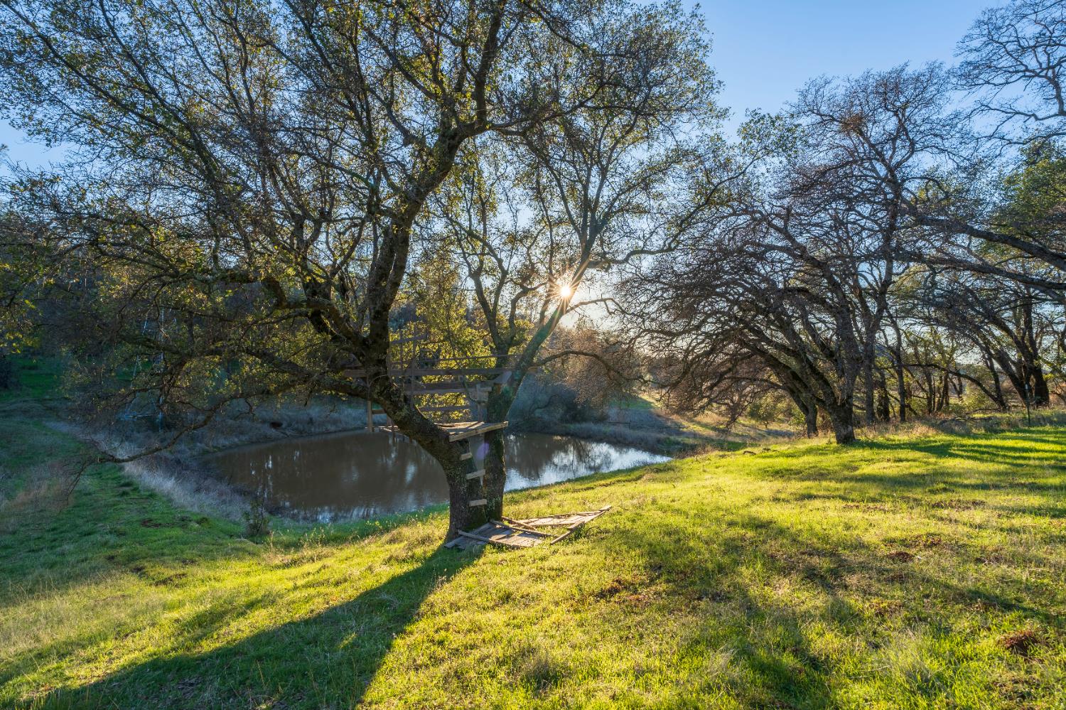 19728 Perimeter Road Grass Valley, CA 95949 - Photo 42 of 51