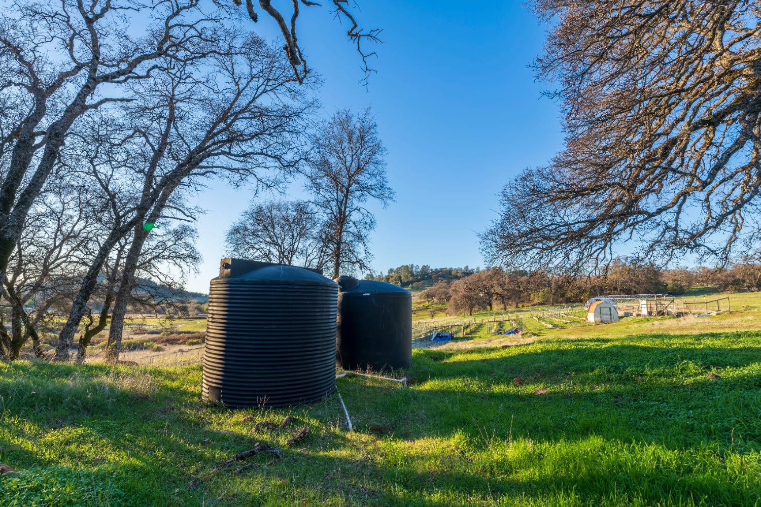 19728 Perimeter Road Grass Valley, CA 95949 - Photo 48 of 51