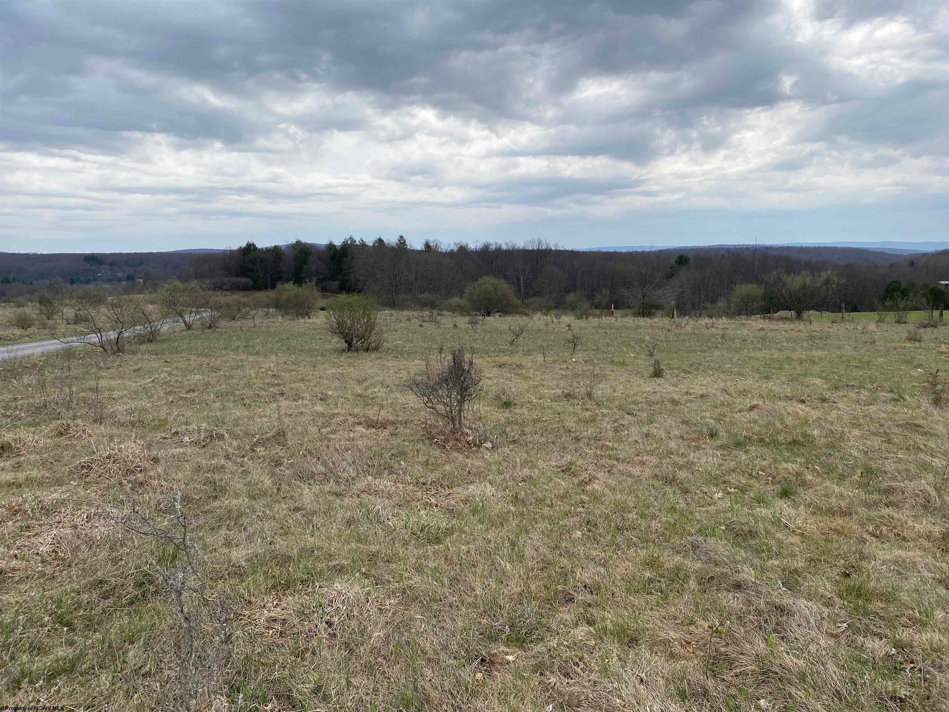 Tbd Snowy Rdg Road Terra Alta, WV 26764 - Photo 5 of 14 Gallery Image 5