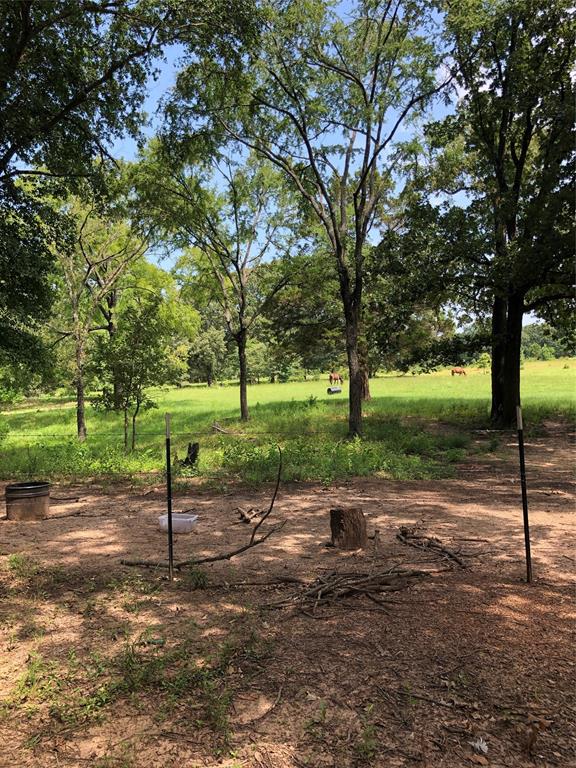 3640 Van Zandt County Road Ben Wheeler, TX 75754 - Photo 11 of 34 a view of a park with tree s