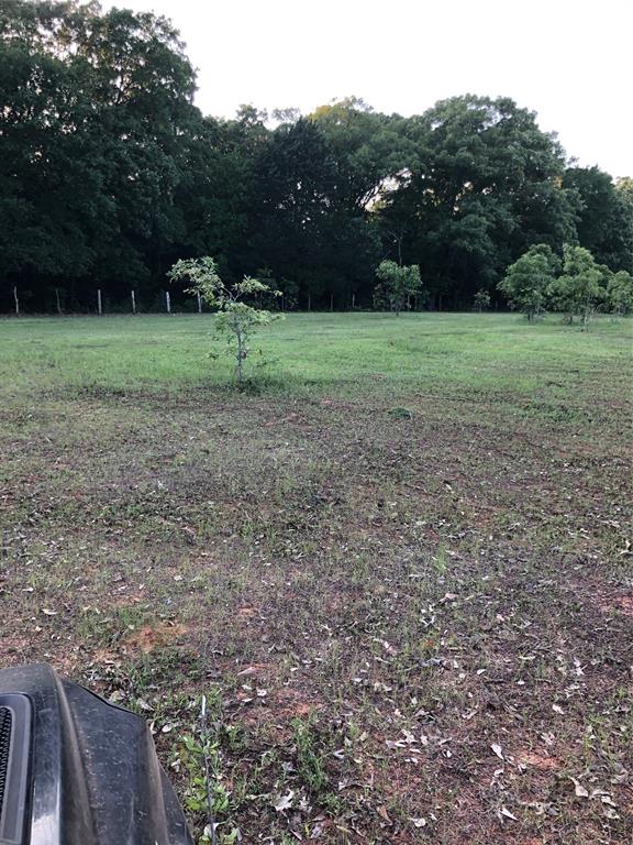 3640 Van Zandt County Road Ben Wheeler, TX 75754 - Photo 12 of 34 a view of outdoor space with green field and trees