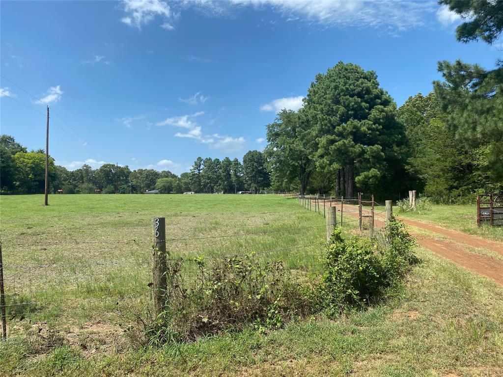 3640 Van Zandt County Road Ben Wheeler, TX 75754 - Photo 15 of 34 a view of a field with a tree