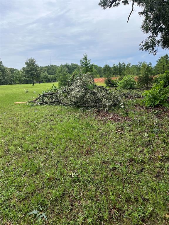 3640 Van Zandt County Road Ben Wheeler, TX 75754 - Photo 16 of 34 a view of a bunch of trees in a field