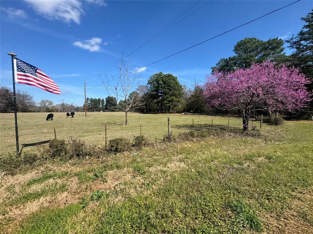 3640 Van Zandt County Road Ben Wheeler, TX 75754 - Photo 2 of 34 a view of a yard with an tree