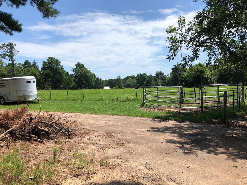 3640 Van Zandt County Road Ben Wheeler, TX 75754 - Photo 29 of 34 a view of a park with large trees
