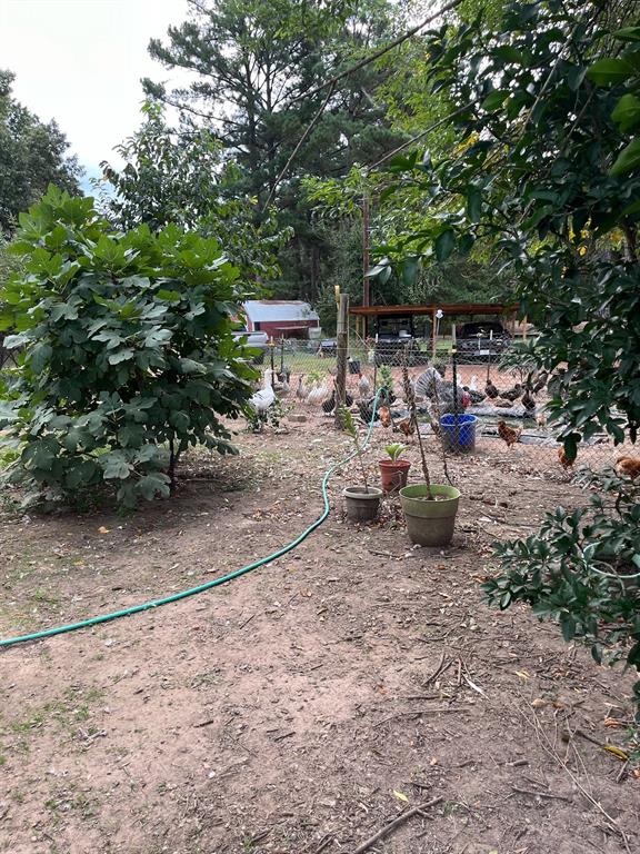 3640 Van Zandt County Road Ben Wheeler, TX 75754 - Photo 3 of 34 a view of a chairs and table in the backyard