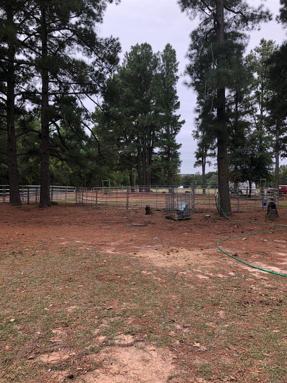3640 Van Zandt County Road Ben Wheeler, TX 75754 - Photo 5 of 34 a backyard of a house with lots of green space