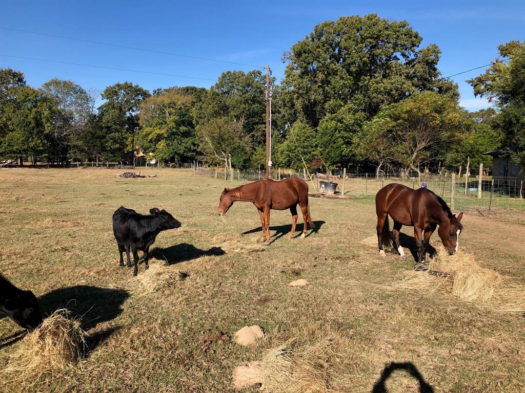 3640 Van Zandt County Road Ben Wheeler, TX 75754 - Photo 8 of 34 a view of a lake and outdoor seating